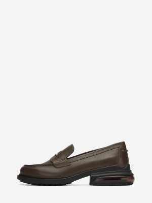 Oxfords ASH Rex Damskie Mud | 076938ZAO